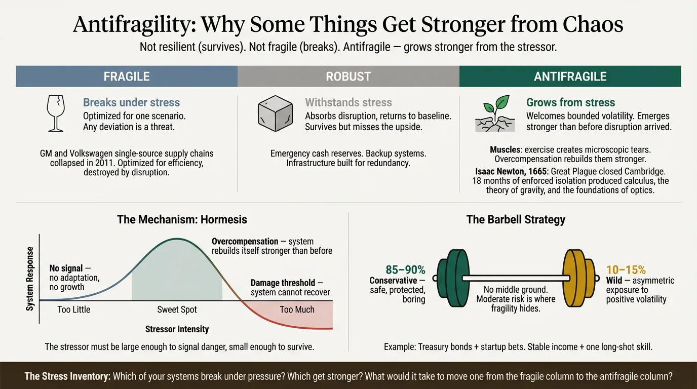 Illustrated overview of Antifragility