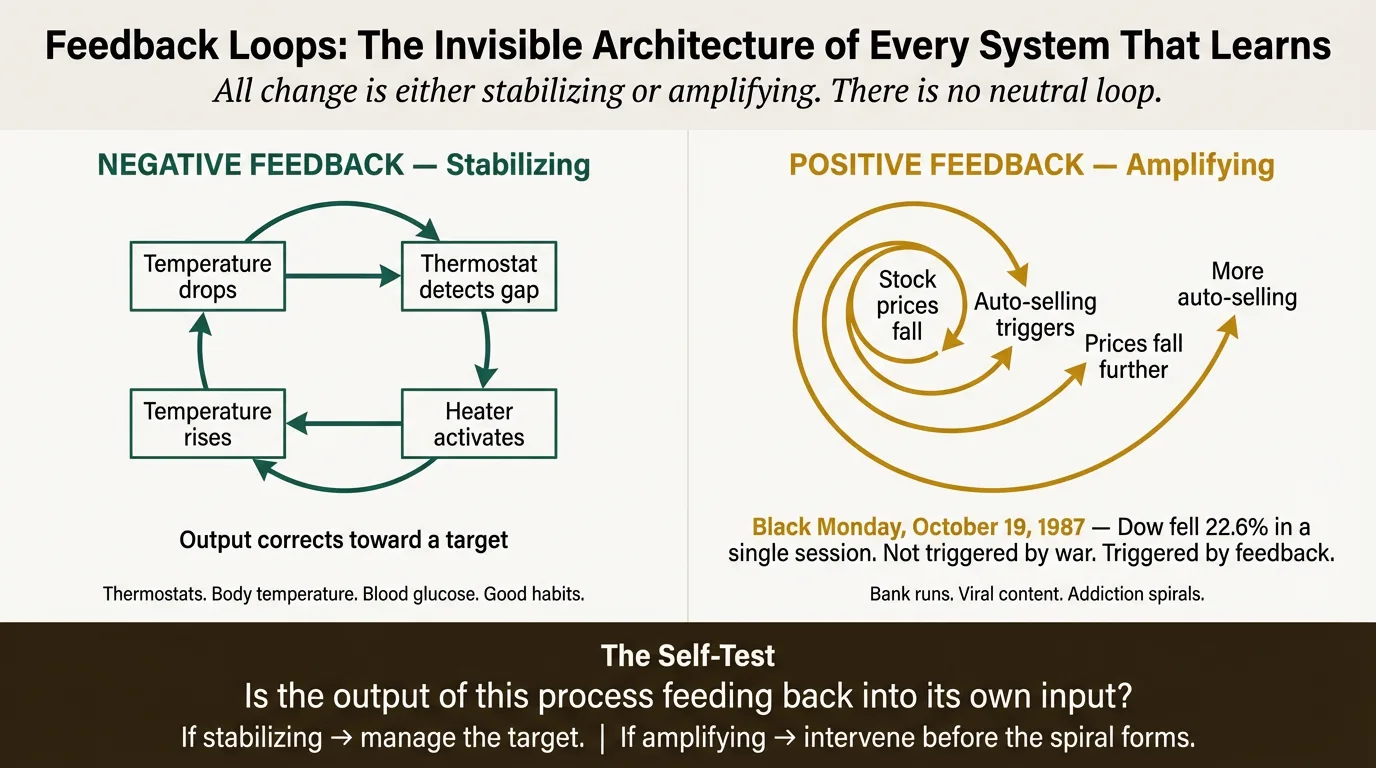 Illustrated overview of Feedback Loops